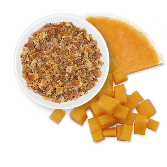 Butternut Squash Featured R