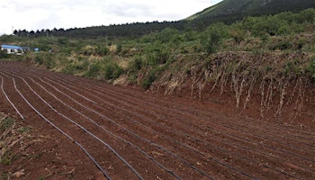 Field Preparation