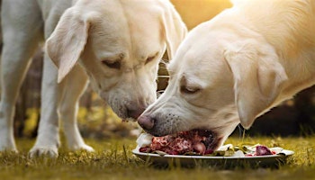 Natural Dog Food