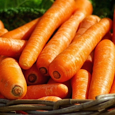 Carrots Benefits