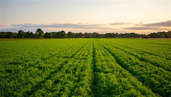 Fall Crop Report 2022