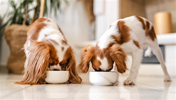 Functional Pet Food