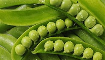 Green Peas Health Benefits