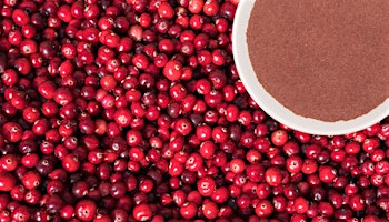 Health Benefits Cranberries