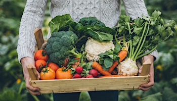 Hidden Vegetables