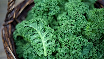 Kale Powder Benefits