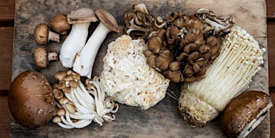 Nutritional Benefits of Mushrooms