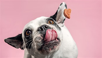 Pet Food Natural Coloring