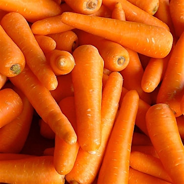 Carrot Puff Dried Hero