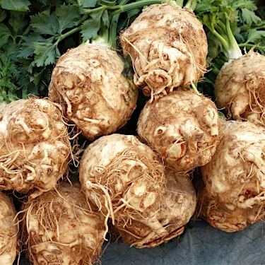Celery Root Hero