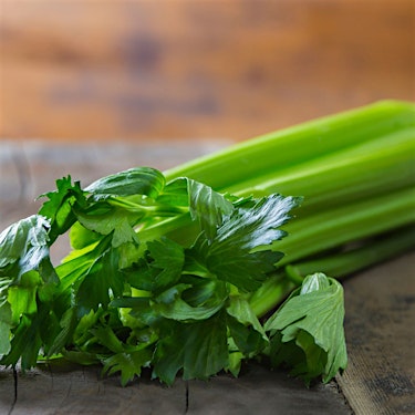 Celery Stalk and Leaf Hero