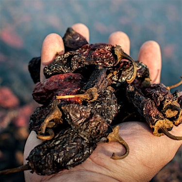 Chipotle Pepper Hero