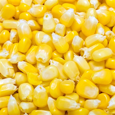 Corn Hero