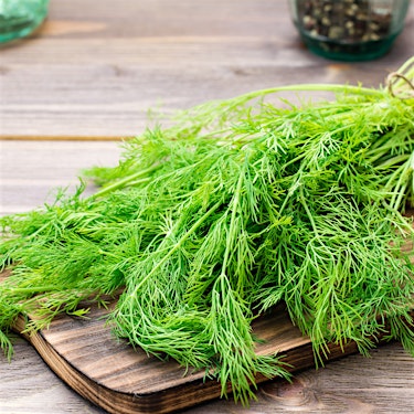 Dill Hero