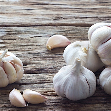 Garlic Hero