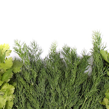 Herb Blend Hero