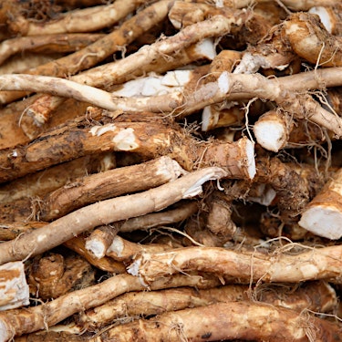 Horseradish Hero