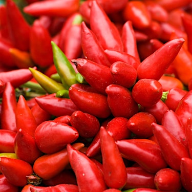 Jalapeno Peppers Red Hero