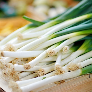 Leeks Green White Mix Hero