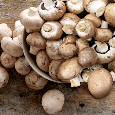 Mushrooms Mixed European Hero R