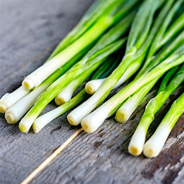 Onions Green Hero