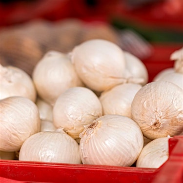 Onions White Hero R