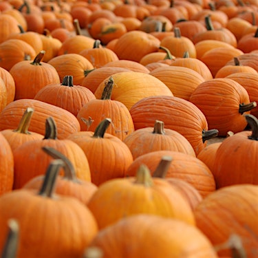 Pumpkin Hero