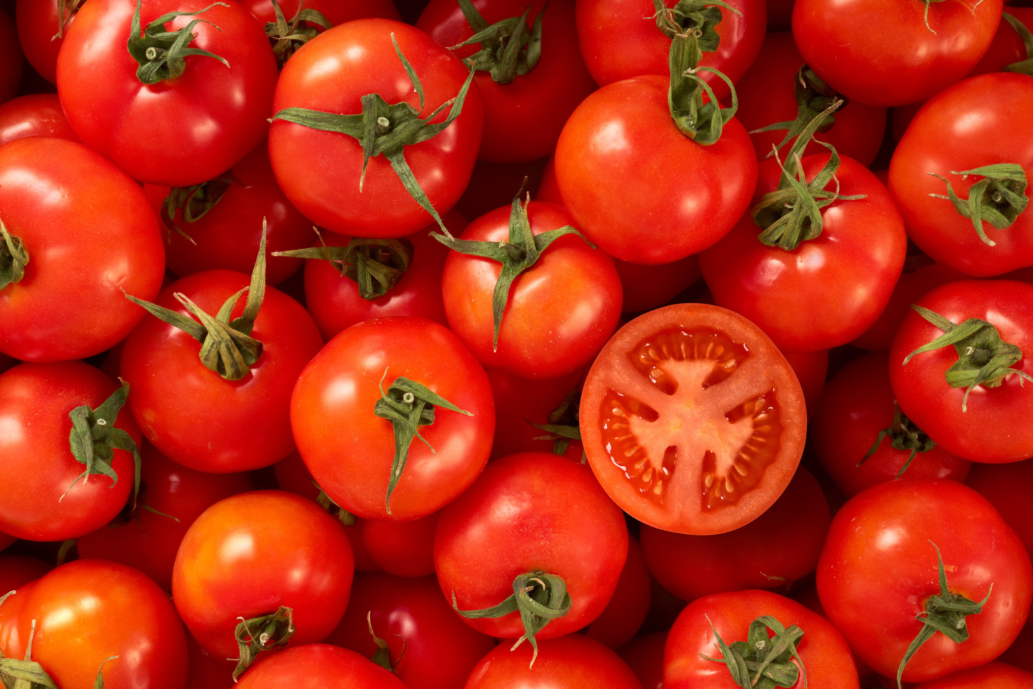 Tomato, Spray Dried | Silva International